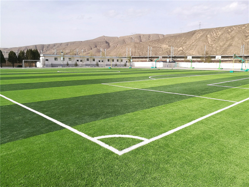 football field