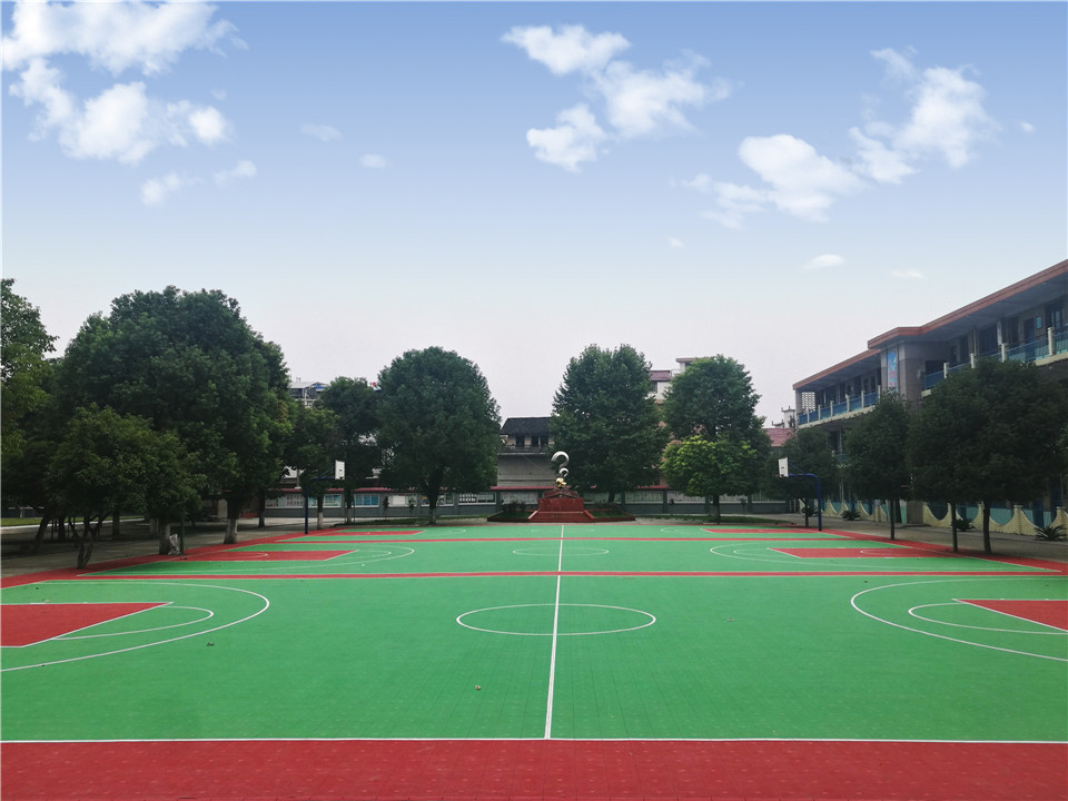 Sports court