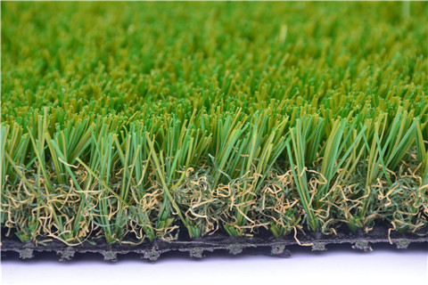 BELLIN-Tspine SERIES for football